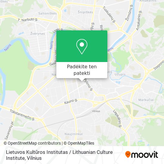 Lietuvos Kultūros Institutas / Lithuanian Culture Institute žemėlapis