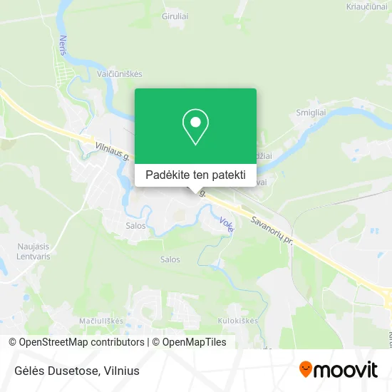 Gėlės Dusetose žemėlapis