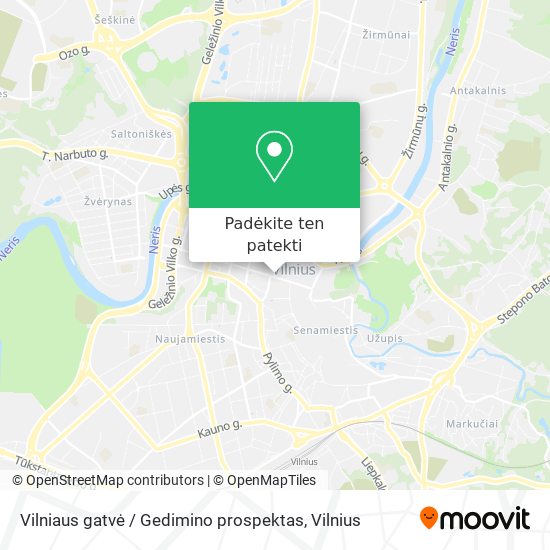Vilniaus gatvė / Gedimino prospektas žemėlapis
