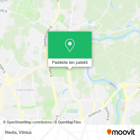Riedis žemėlapis