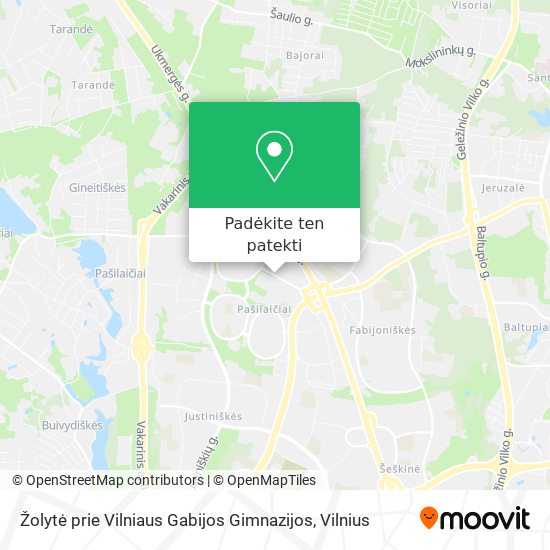 Žolytė prie Vilniaus Gabijos Gimnazijos žemėlapis