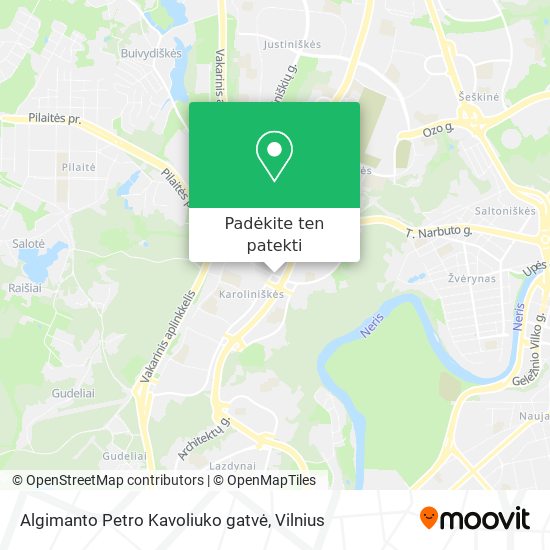 Algimanto Petro Kavoliuko gatvė žemėlapis