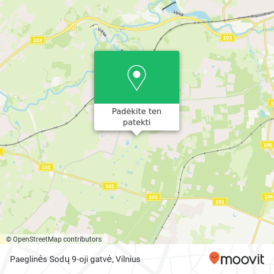 Paeglinės Sodų 9-oji gatvė žemėlapis