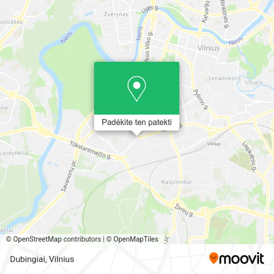 Dubingiai žemėlapis