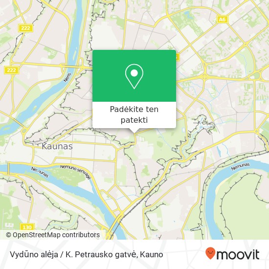 Vydūno alėja / K. Petrausko gatvė žemėlapis