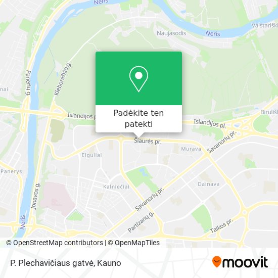 P. Plechavičiaus gatvė žemėlapis