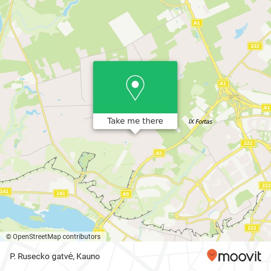 P. Rusecko gatvė žemėlapis