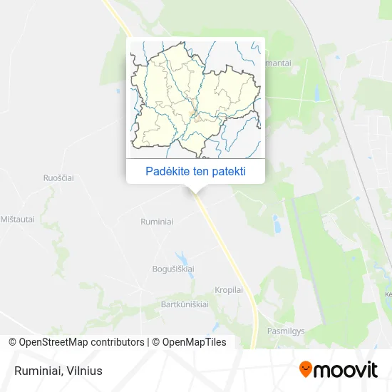 Ruminiai žemėlapis