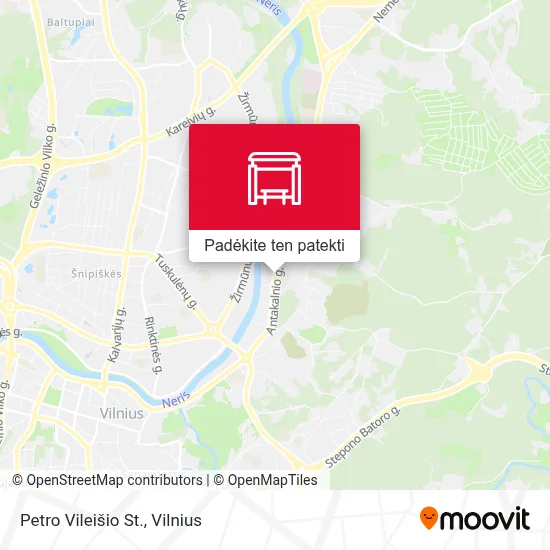 Petro Vileišio St. žemėlapis