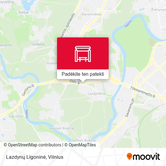 Lazdynų Ligoninė žemėlapis