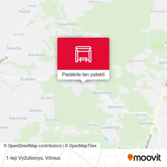 1-Ieji Vyžulionys žemėlapis