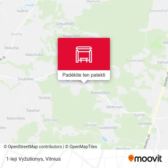 1-Ieji Vyžulionys žemėlapis